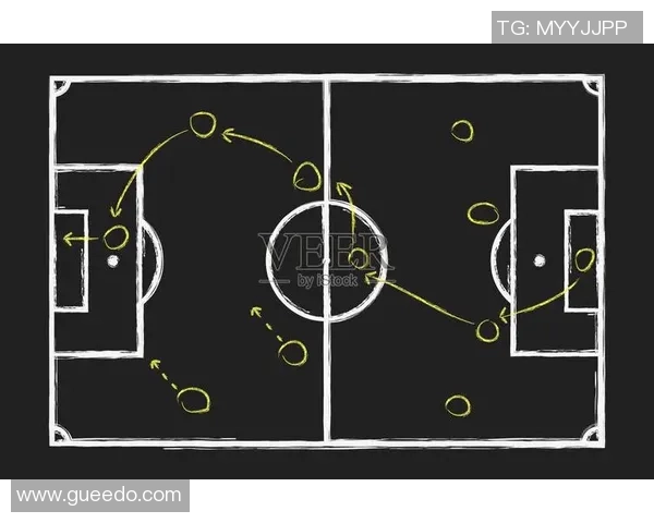 BLG在CSGO中的阵地战策略解析与战术运用探讨
