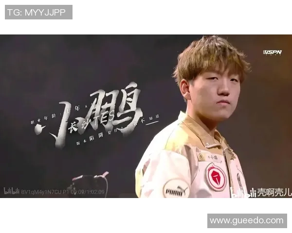 TES在世界冠军杯中的战术表现分析与点评深度解析