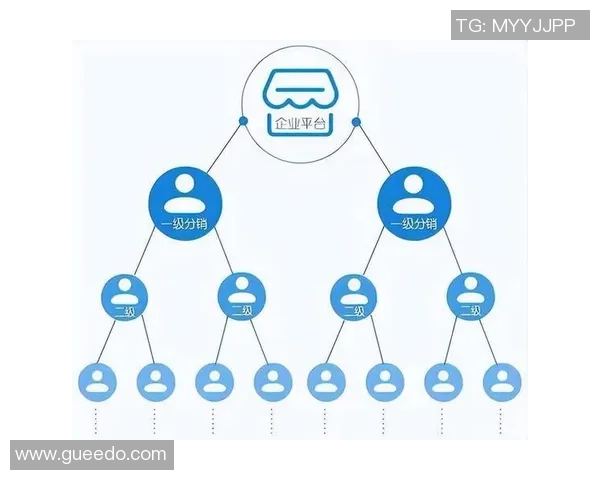 深入分析成都羽毛球队的运营策略与市场发展模式